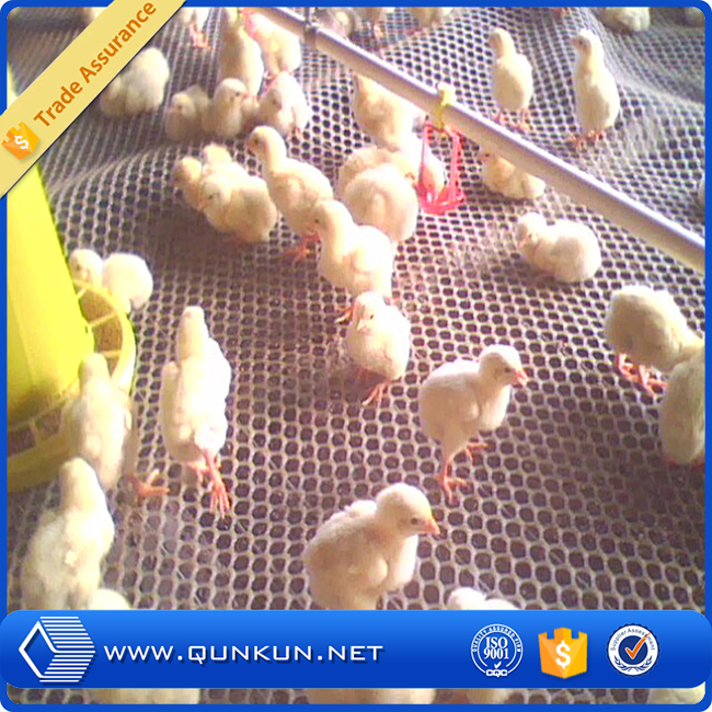 2015 Hot Sale Plastic Chicken Wire Mesh, High Quality 2015 Hot Sale Plastic  Chicken Wire Mesh on