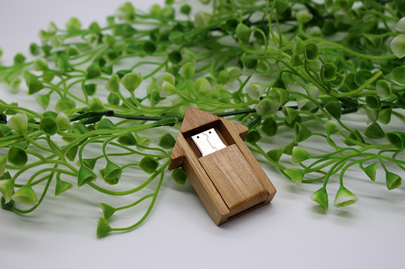 House Usb Flash Drive House Usb Flash Drive