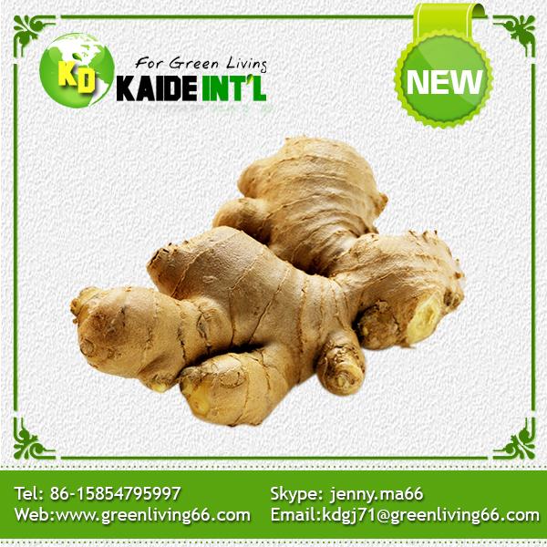 New Crop Ginger