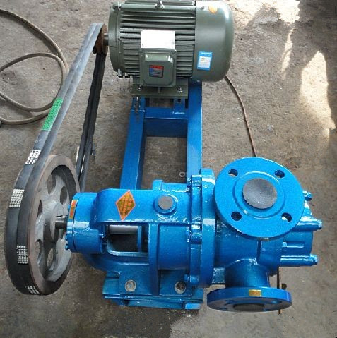 NYP cast iron material rotor pump