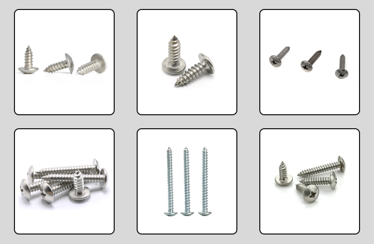 Stainless/Steel Cross Recessed Mushroom Head Tapping Screw