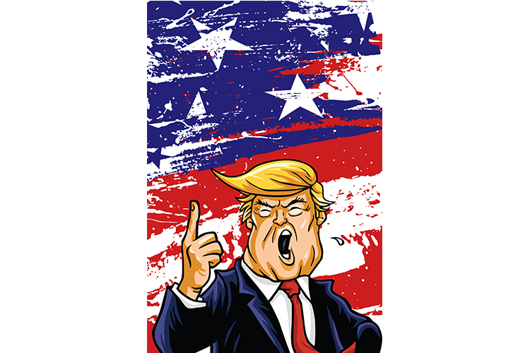 Cartoon Trump Garden Spoof Flying Flag