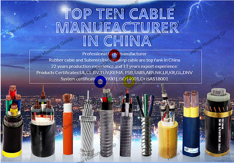 0.6/1kv 1*10AWG+10AWG Annealed Copper Stranded XLPE Insulation PVC Sheath Concentric Cables