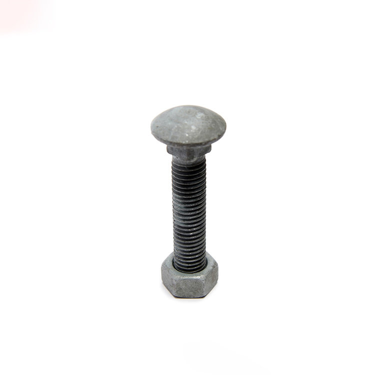 hot dip galvanized Carriage Bolts