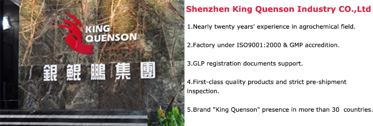 King Quenson Fungicide Direct Factory Mancozeb 90% Tc Price Mancozeb 80% Wp