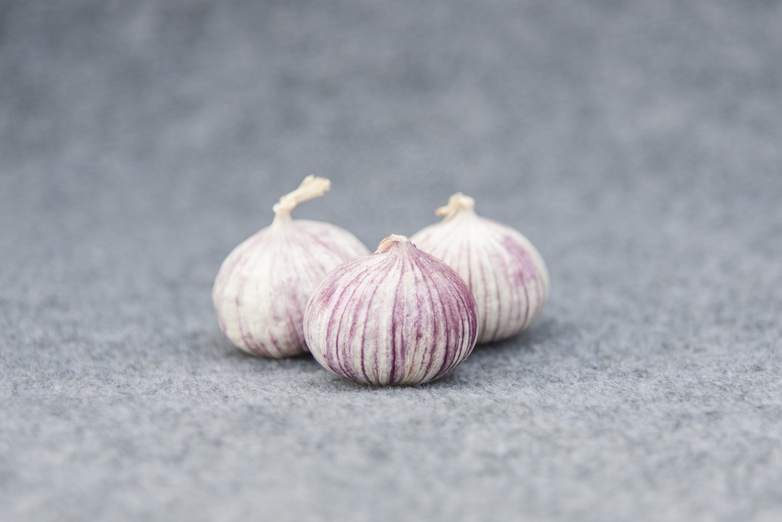 High quality fresh single clove garlic