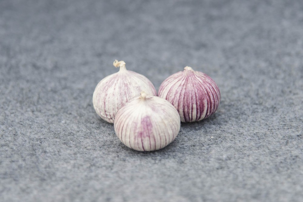 Top Quality Chinese Solo Garlic On Sale