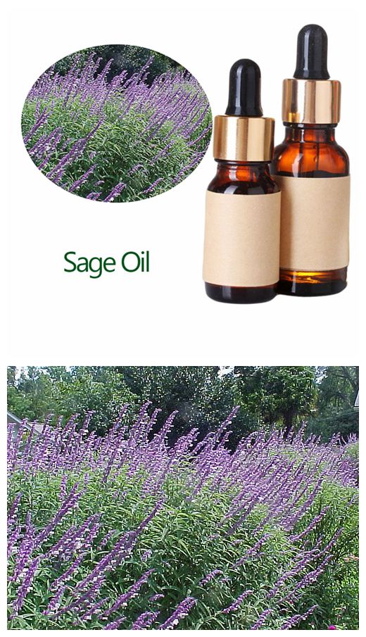 Clary Sage single essential oil OEM
