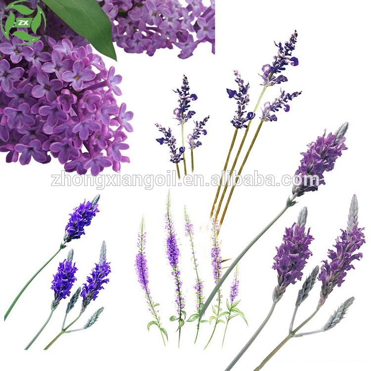  lavender essential oil