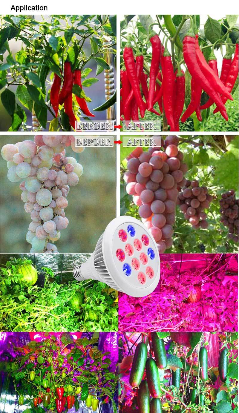 AR111 LED Grow Light E27 LED Bulb Plant Growth Light