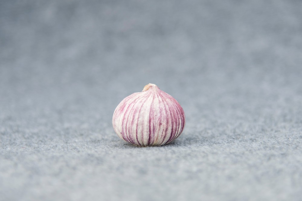 High quality fresh single clove garlic