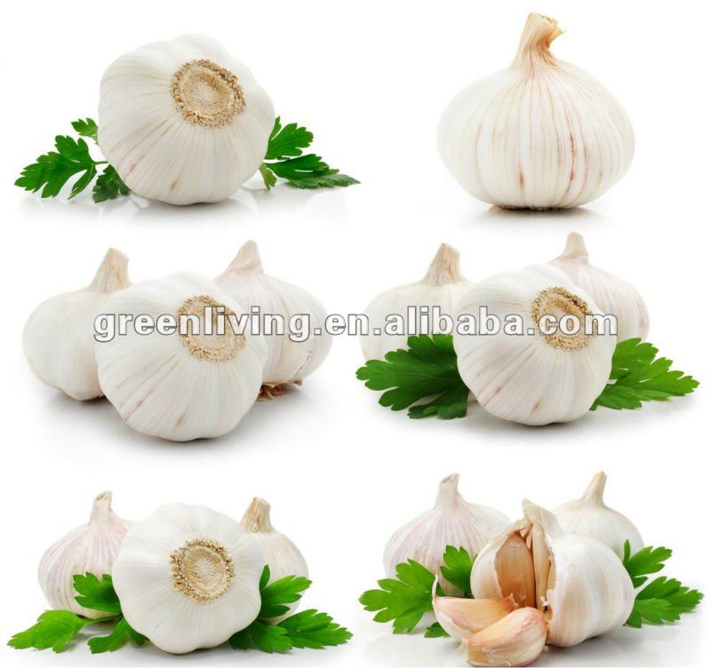 Pure White Common Garlic