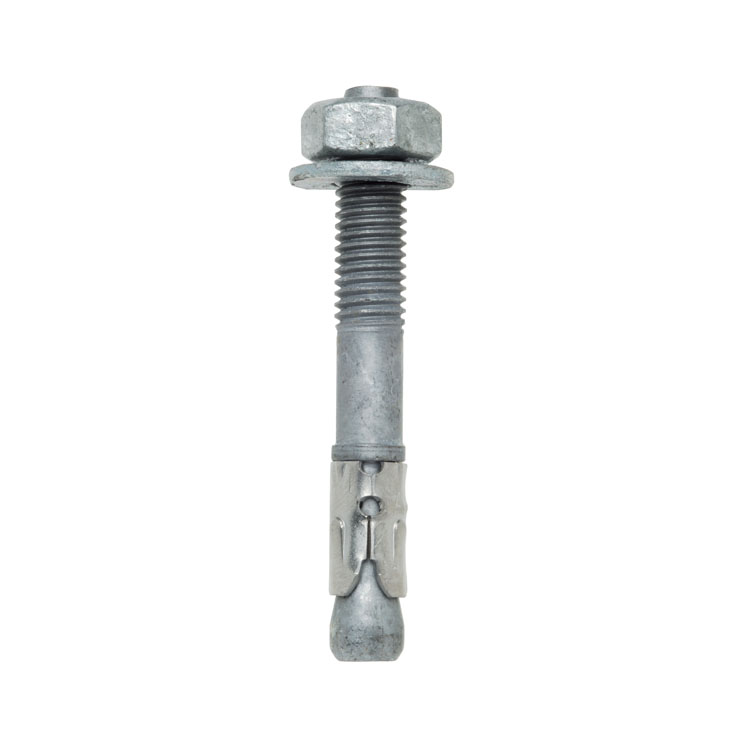 Screw Type Wedge Anchor Bolts