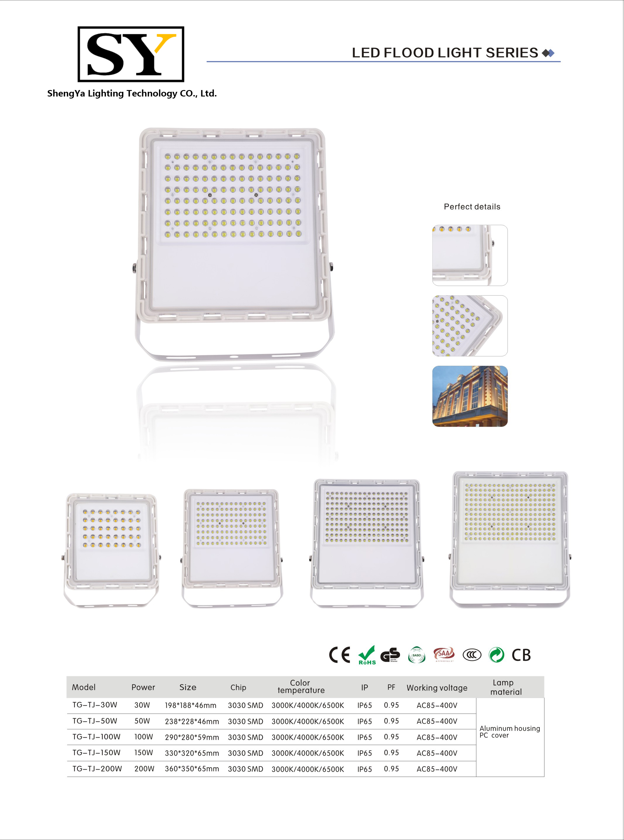 Die Cast Aluminum LED Flood Light