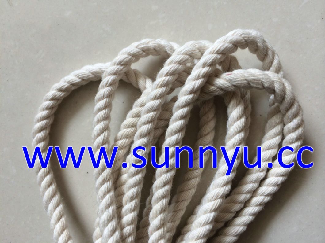 Cotton Braied Rope/Cotton Cord/Cotton Rope