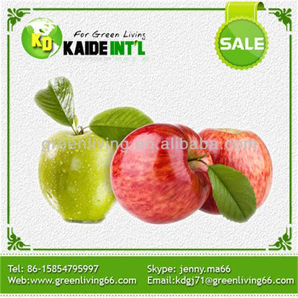 Big Size Gala Apple Fruit