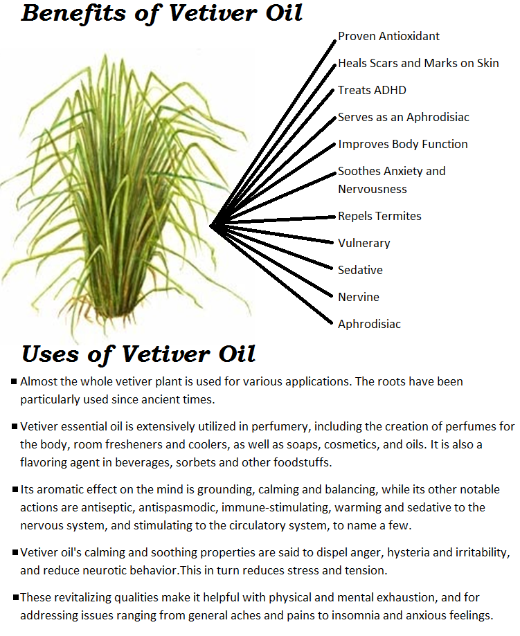 Vetiver oil