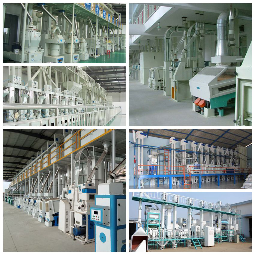 Combined Rice Mill Equipment + Packaging System Mini Rice Mill Plant ...