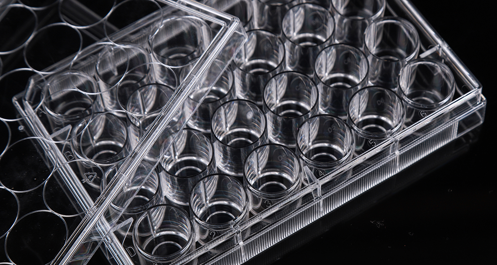 Glass Bottom Cell Culture Plates