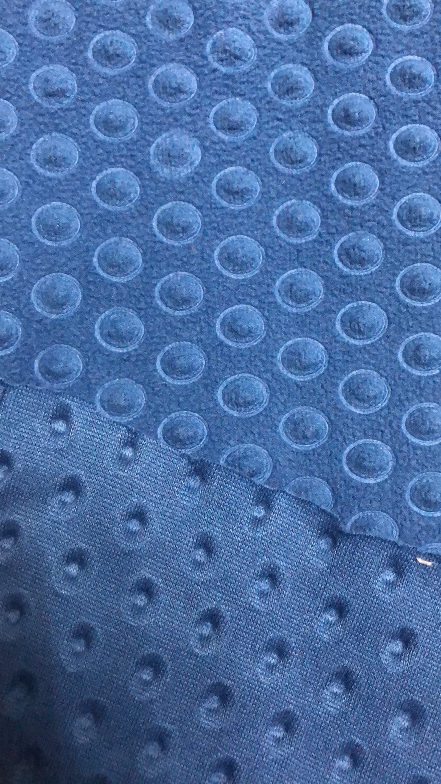 100% Polyester Polar Fleece with Embossed Fabric